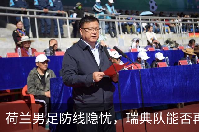 荷兰男足防线隐忧，瑞典队能否再续佳绩？